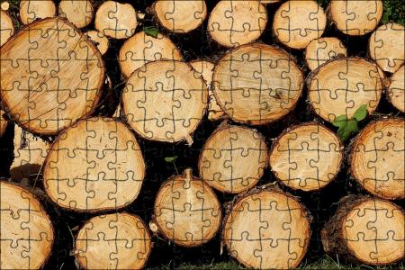 Ефективність біржових торгів з продажу деревини в Україні